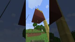 Minecraft TikTok hack | #minecraft #shorts