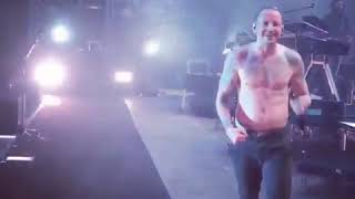 Chester Bennington Smiling At Talinda Whilst On Stage Performing