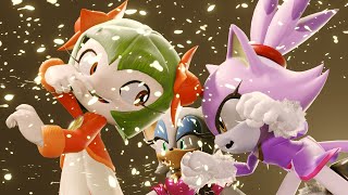 Blaze The Cat Vs Daisy Concept