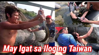 Unang Nakahuli ng Isdang IGAT o ( Kasili ) sa Ilog ng Taiwan | Walang Takot Kinakapa .