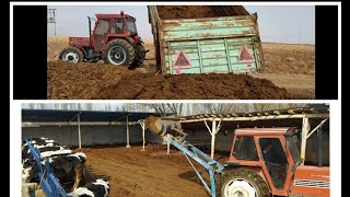 🐂Büyükbaş🐃 hayvanlarımızın altını temizledik🚜🚞 tarlamıza🏞️ dökdük