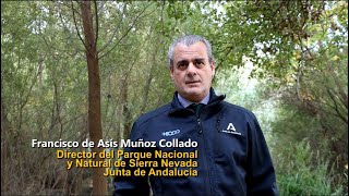 Trailer. El observatorio del Cambio Global de Sierra Nevada: una ayuda para mejorar la adaptación