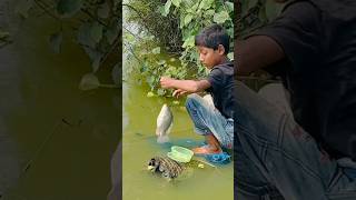 Best Fishing Video 🎣🐟 Fishing With Hook🪝 Talapia Fish Hunting By Hook #shortsvideo #fishing #fish