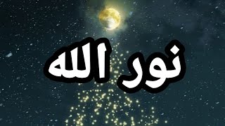 نور الله☝️كلام مؤثر يريح القلب💔 اجمل حالات واتس اب دينيه قصيره 🖤#فضلا وليس أمراً لا تنسوا الايك 👍