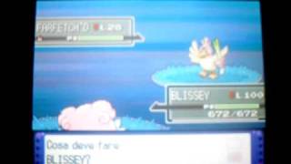 #9th Platinum: Shiny Farfetch'd [1 of 4] on Route 221. Chain broke at 64 =( [Problems to catch]