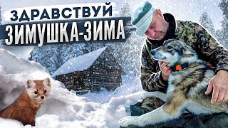 Промысел Куницы. Ребята, возьмите меня с собой !!!