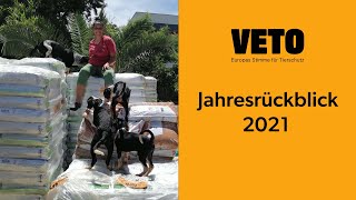 Erfolge für den Tierschutz in Europa | VETO Jahresrückblick 2021