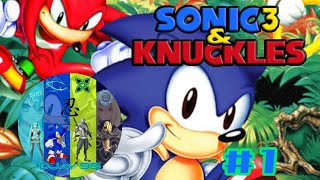 DJay 95 Plays: Sonic 3 & Knuckles Walkthrough Part 1