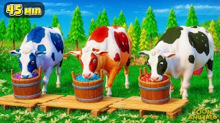 Color Cows & Animals Cartoon Compilation: Wild Animal Fights | Farm Diorama Adventures!