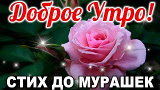 🔴ОЧЕНЬ МУДРО СКАЗАНО! С ДОБРЫМ УТРОМ! ДОБРОЕ УТРО И ХОРОШЕГО ДНЯ! Стих "Письмо Бога"