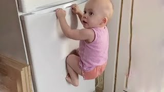 Funniest Baby Reactions Ever! Try Not to Laugh Compilation