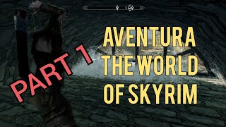 I go on a Adventure with a npc in SKYRIM