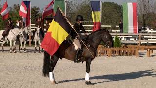 Speed Test (PG ceremony) – European Championship Working Equitation – Obořiště (CZE) 21. 9. 2024