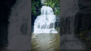 Waterfall Weekend #shorts #short #shortvideo