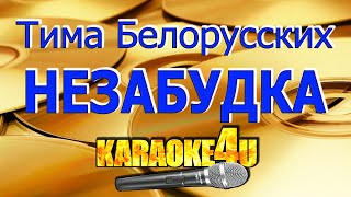 Тима Белорусских | Незабудка | Караоке (Кавер минус от RomanSam)