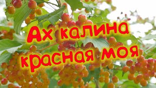 Сергей Одинцов - Ах Калина Красная Моя