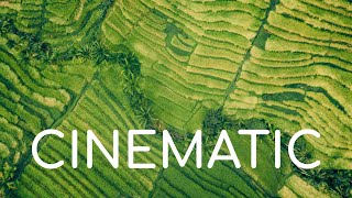 Cinematic Background Music No Copyright Nature Royalty Free Music