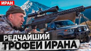 Трофейная охота в Иране 5. Красный баран (2024) [4K]