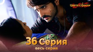 Цвета Страсти Индийский сериал 36 Серия | Русский Дубляж