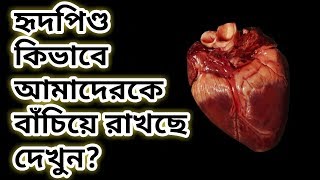 হার্টের সমস্যার লক্ষণ | হার্টের সমস্যা ও সমাধান | Average heart rate after exercise