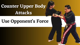 Use Opponent's Force & Counter Upper Body Attacks - Master Rubin's Tom Cat Techniques 9, 10, 11, 12