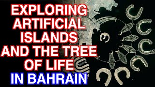 Bahrain's 400 year old tree in the desert || Robyn Doyle