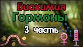 Биохимия. Лекция 26. Гормоны. 3 часть.