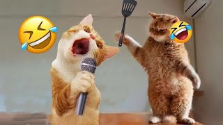 You Laugh You Lose😍Funniest Dogs and Cats 2024😻🐶