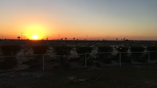 Saudi Arabia, Ras Tanura and Bahrain Fort. Part 2.