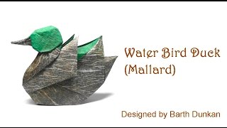 Origami Water Bird Duck - Mallard (Barth Dunkan)