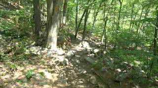 Multi-Use Conflict and Trail Overuse Impacts in the Middlesex Fells