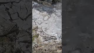 Bubbling Mud