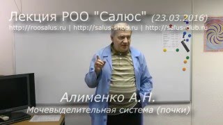 Мочевыделительная система (А.Н. Алименко)