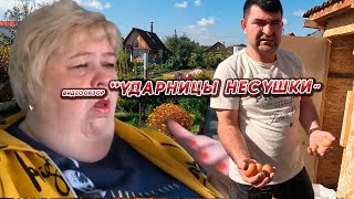 ОЛЬГА УРАЛОЧКА LIVE //УДАРНИЦЫ НЕСУШКИ//