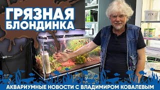 Аквариумные новости с Владимиром Ковалёвым (13.09.2024). Грязная блондинка.