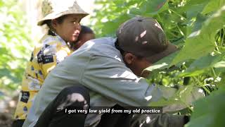 Livelihoods programme - Cambodia