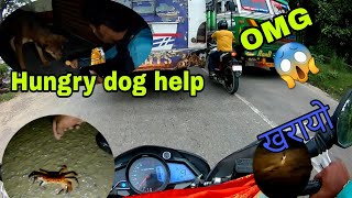 #Hungry dog help // Butwal to Arghakhanchi // Night Ride