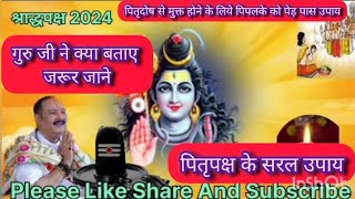 पितृपक्ष में करे#पितृदोष से मुक्त होने के उपाय#pardeep misra ji ke upay#virelvideo#youtubevedio