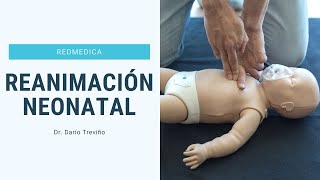 Reanimación neonatal | Neonatología | Clase Patreon #ENARM