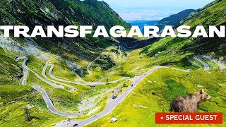 TRANSFAGARASAN: è la strada più bella al mondo?