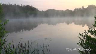 Туман Утром на Озере с Красивой Природой и Звуками Природы для Релакса  и Медитации ~ 🌿