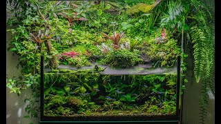 Обзор на Палюдариум.  Aquascape Paludarium.#aquascape #paludarium