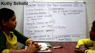 Excretory Products and Their Elimination | Class-11 Part-2 | Chapter-19 | Day-19 | Biology | NCERT |