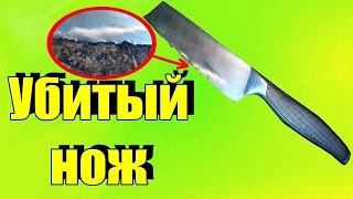 ⚔Издевательство на ножом 🔪УБИЛИ кухонный нож как могли пытаемся сделать Ремонт и заточка ножей