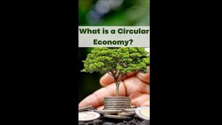 Circular Economy: What It Means & Why It's Important #shorts