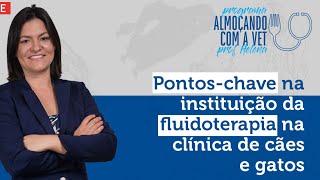 Pontos-chave na instituição da fluidoterapia na clínica de cães e gatos