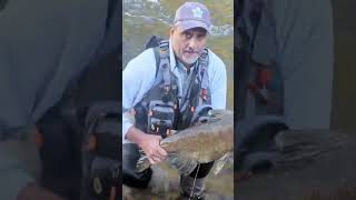 Beautiful Nature 😍 1: Fishing at Credit River,: September 30