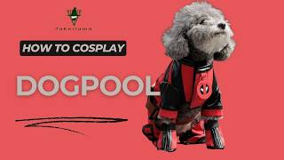 #Takerlama Deadpool 3 Dogpool Dog Costume Pet Puppy Suit Deadpool & Wolverine Cat Clothes Halloween