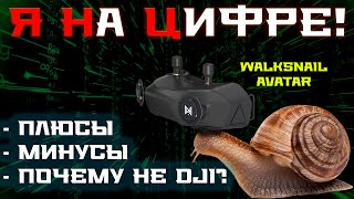 Переход на цифру: честно о плюсах и минусах Walksnail Avatar