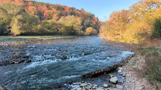 Beautiful Nature 😍 1: Credit River: October 19